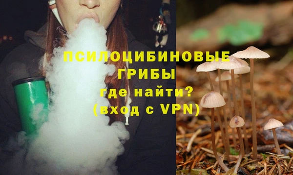 стаф Алексеевка