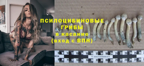 сатива Абдулино