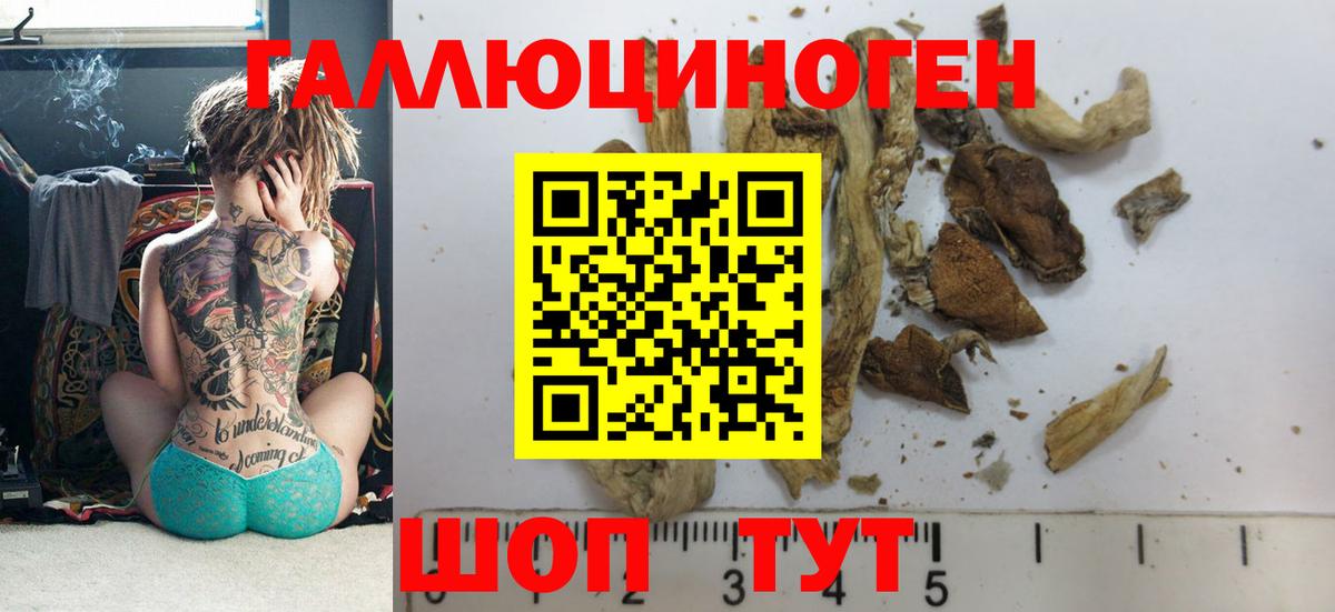 Галлюциногенные грибы мицелий Волоколамск