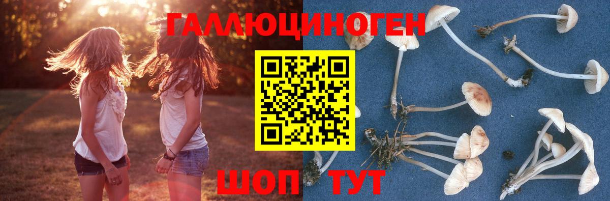 Галлюциногенные грибы GOLDEN TEACHER  Вход с VPN  Волоколамск 